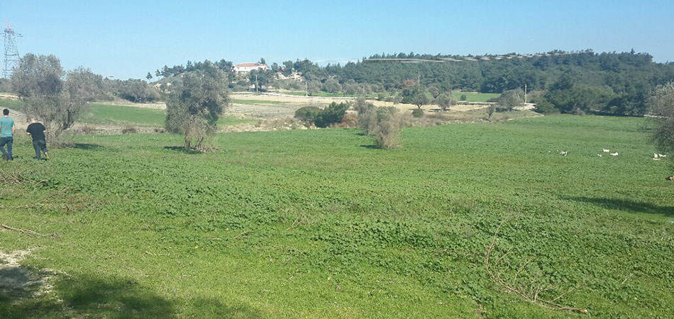 URLA